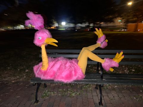 Emu